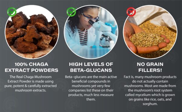 Chaga Mushroom Extract Powder - Image 5