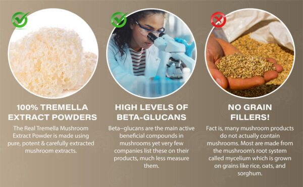 Tremella Mushroom Extract Powder - Image 4
