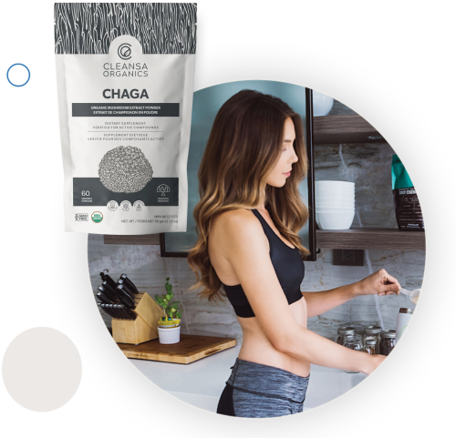 chaga (1)